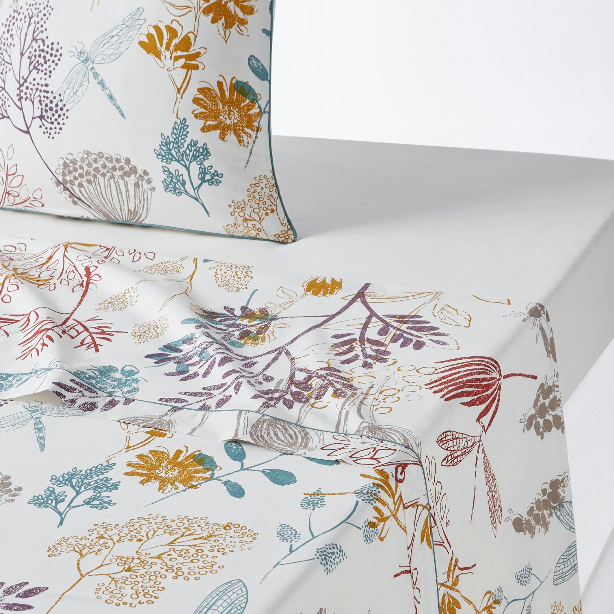Drap plat percale de coton, Botanique
