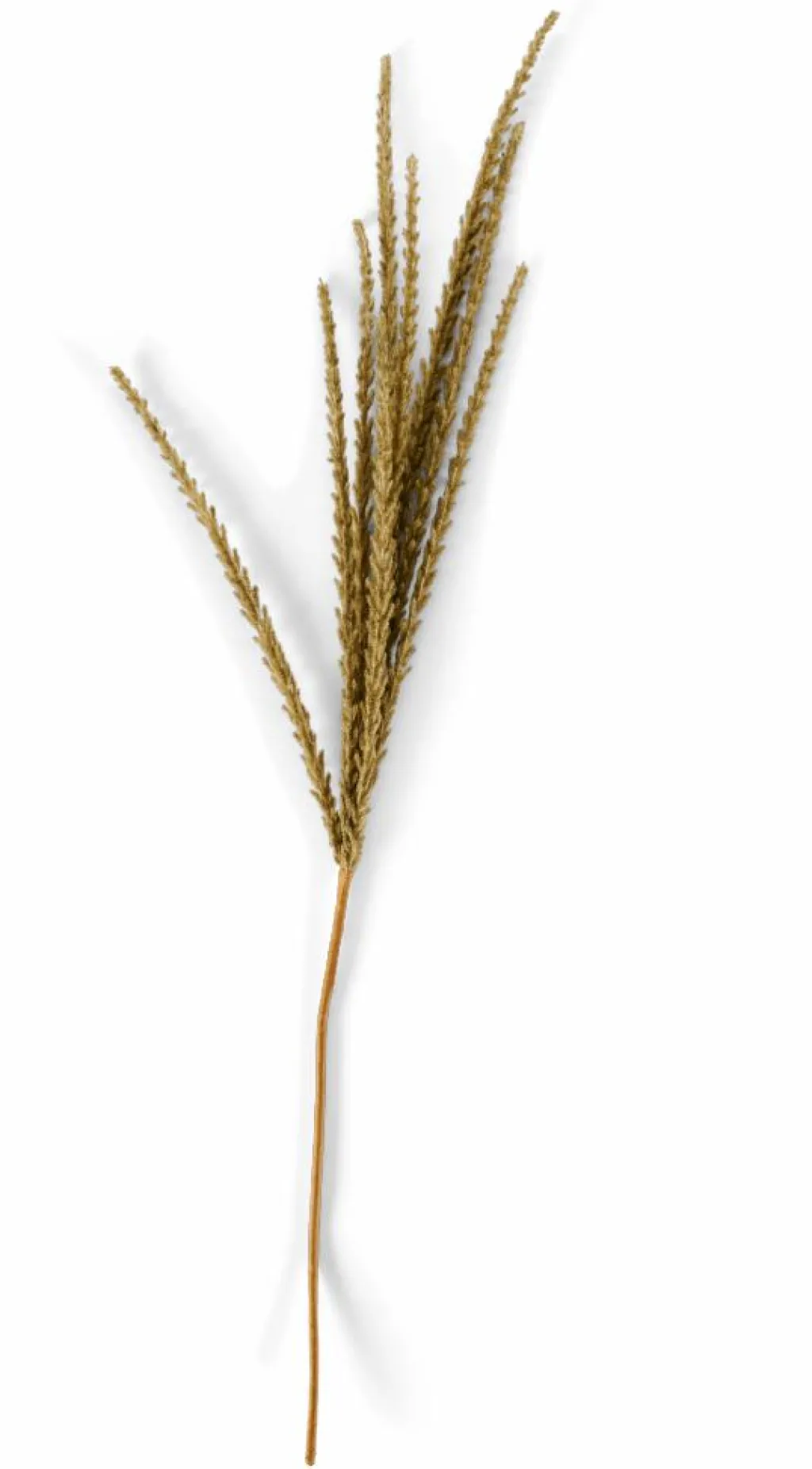 Branches Artificielles^CASA GOLDENROD Tige Blanc