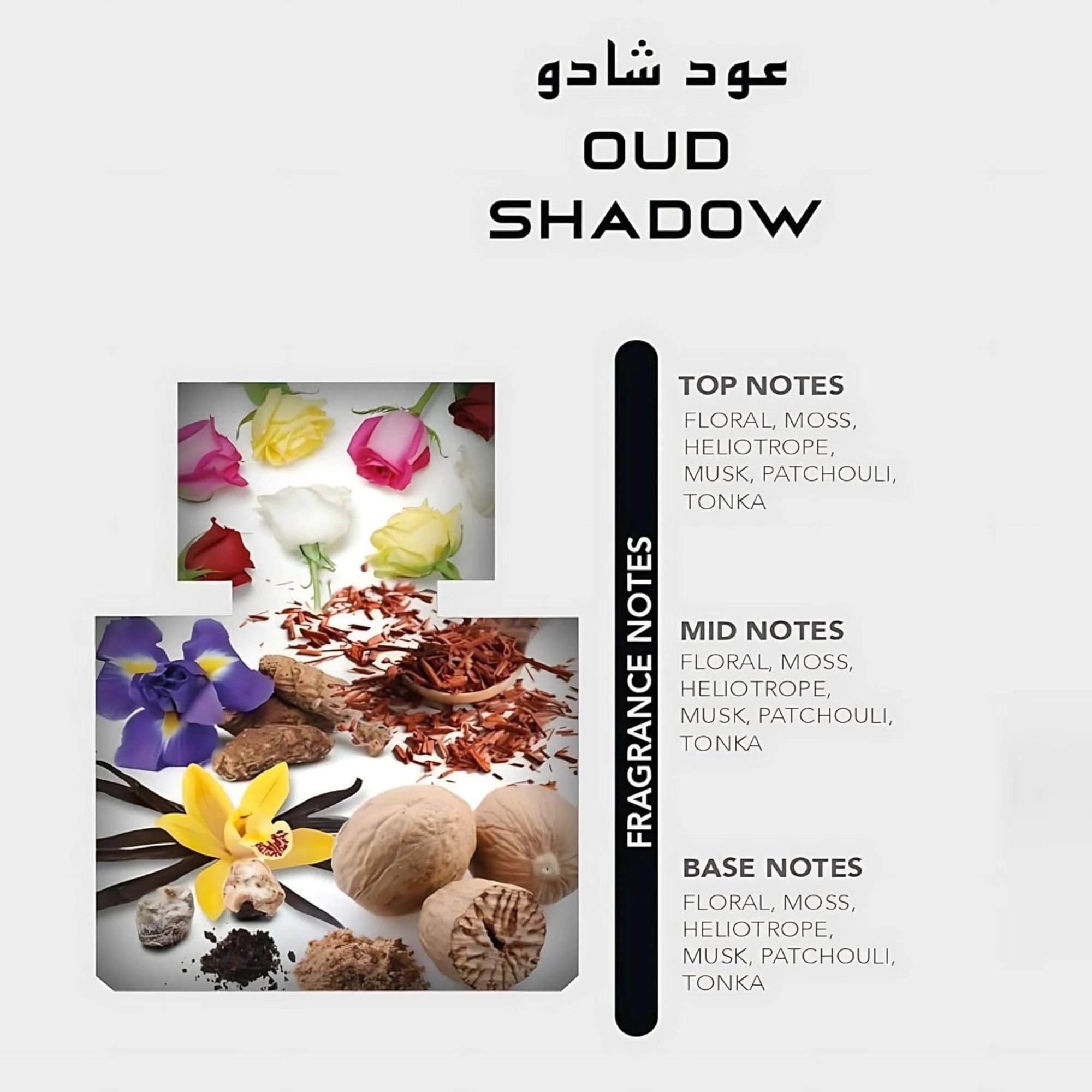 Nylaa Shadow Oud 100ml Eau De Parfum fragrance for men and women