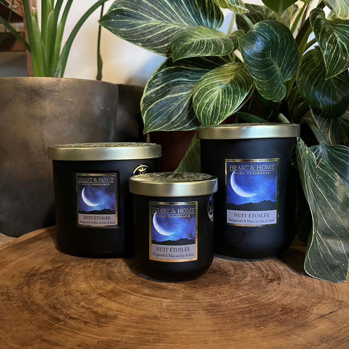 - Bougie à la cire de soja Nuit étoilée