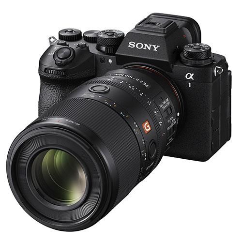 Sony FE 100mm F2.8 Macro GM OSS Lens