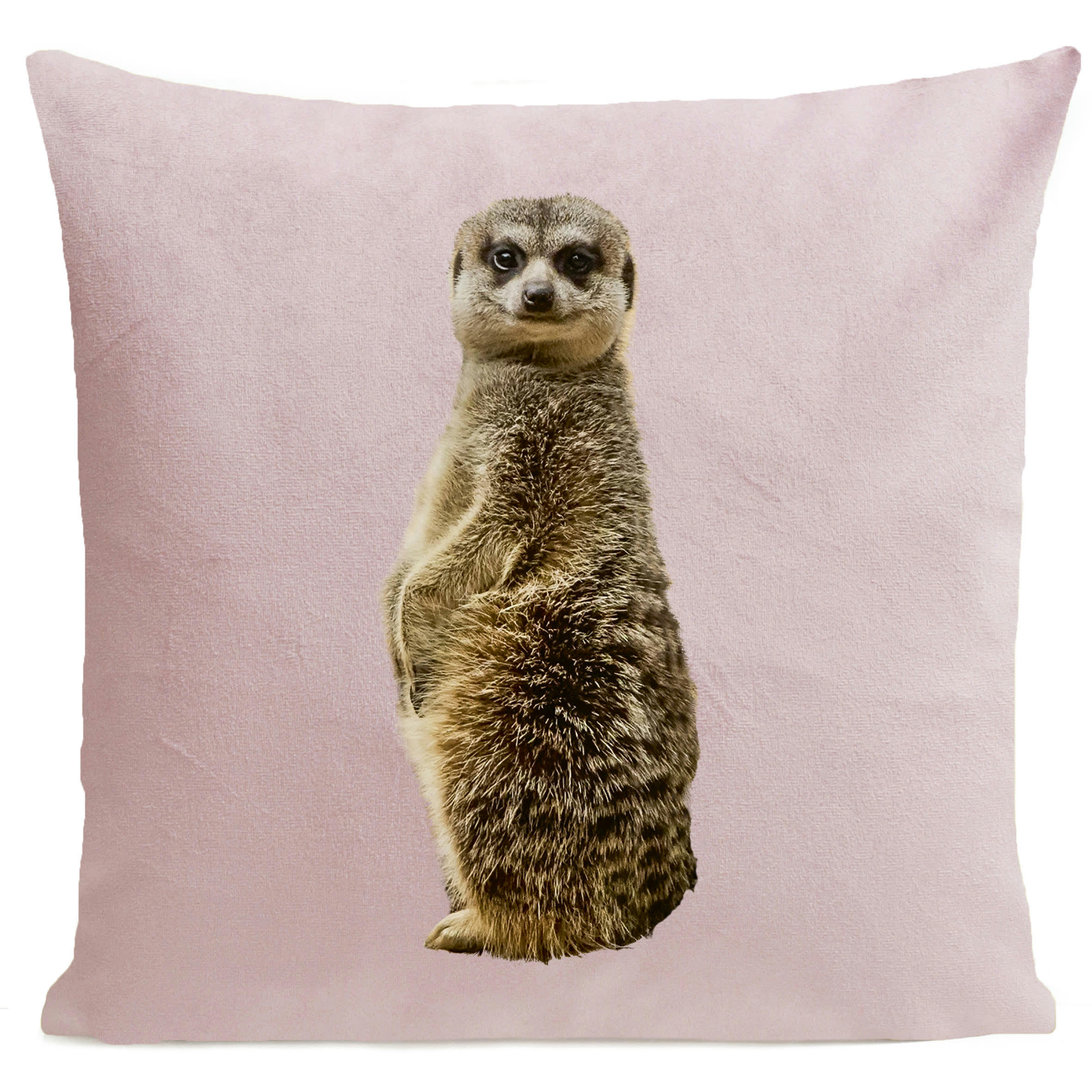 - Coussin jungle suricate suédine rose 40x40cm