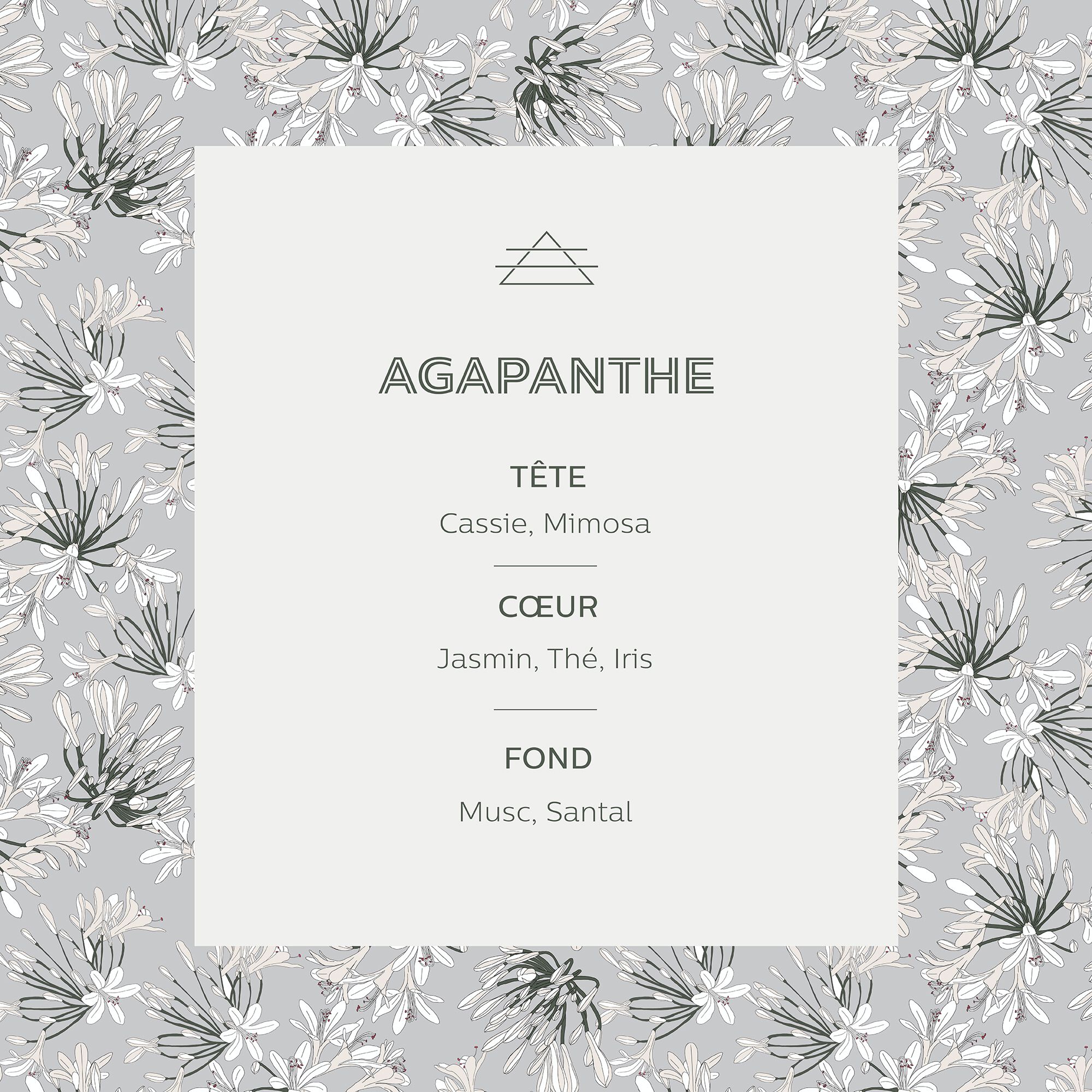 SIGNATURE - Bougie parfumée senteur Agapanthe 160g