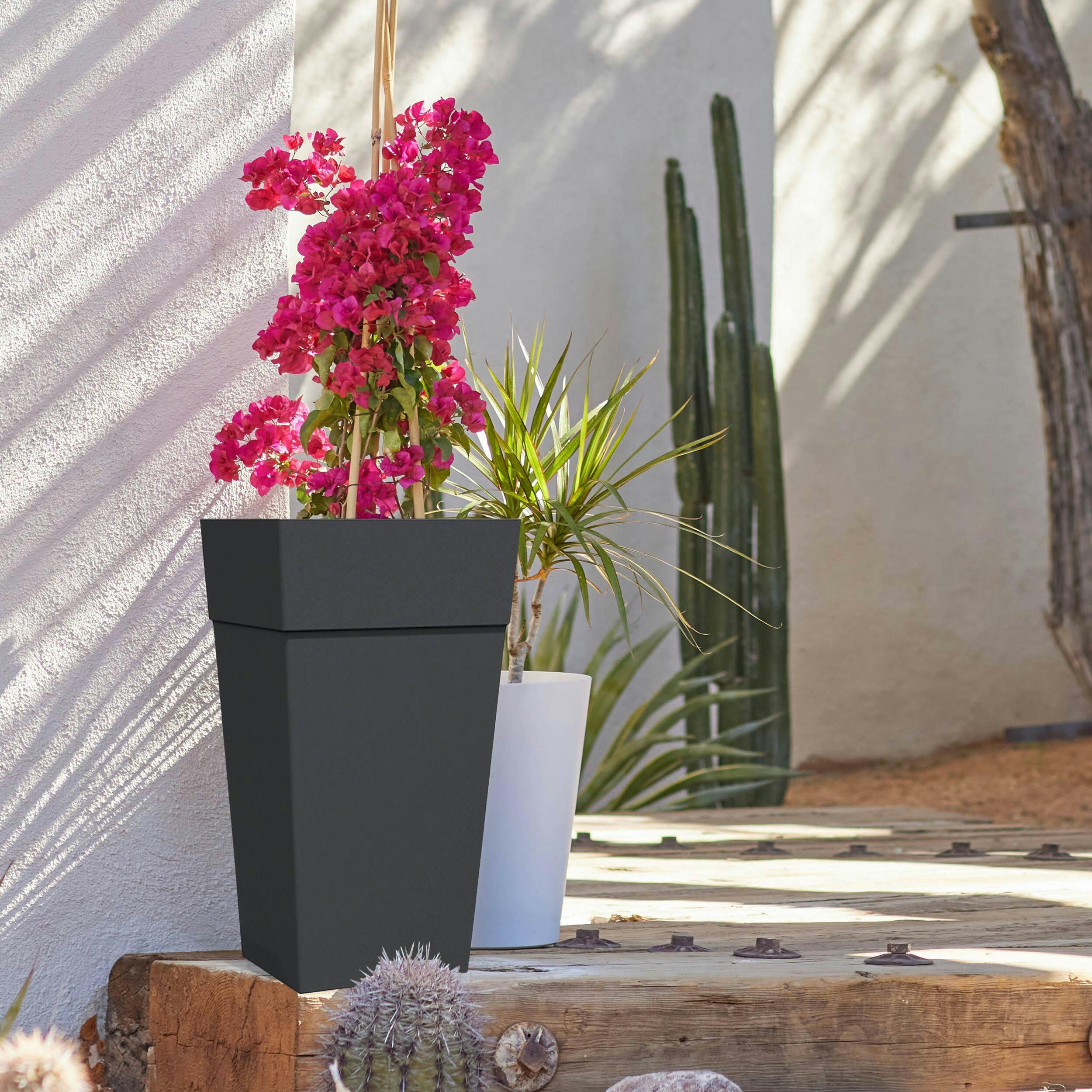 Bloem Finley Self Watering Plastic Square Planter, Assorted Sizes, Black