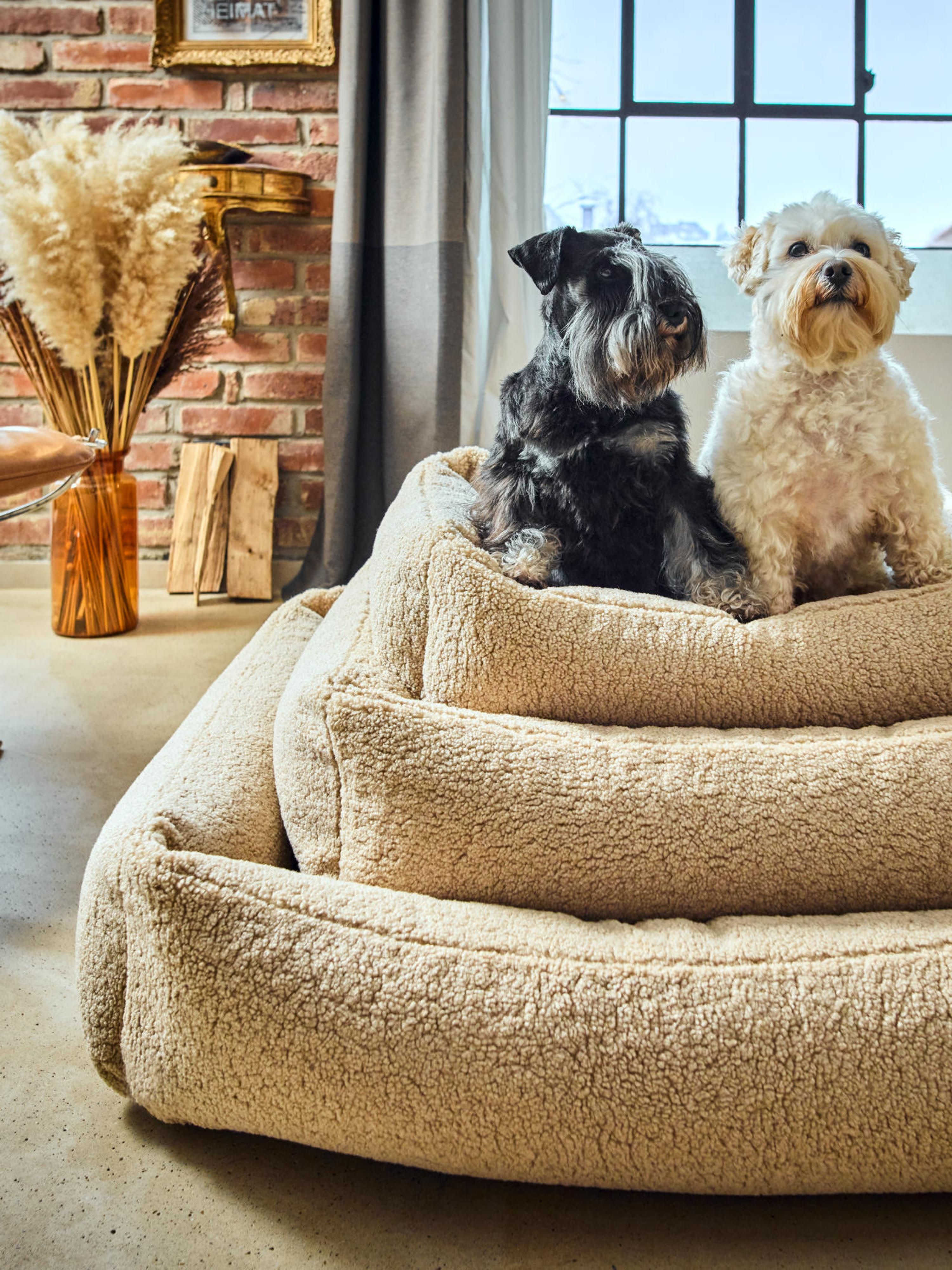 Bouclé-Hundebett Teddy, in verschiedenen Größen