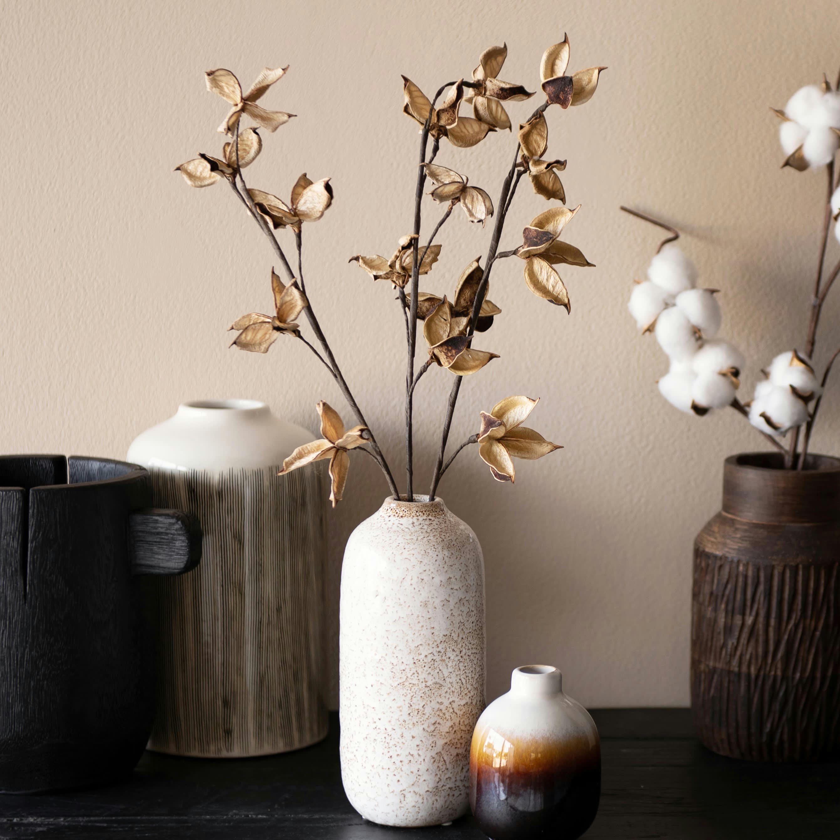 BERGEN - Tige de fleurs séchées beige et marron