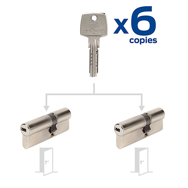 2 cylindres débrayables Bricard 30 40 mm avec 6 clés