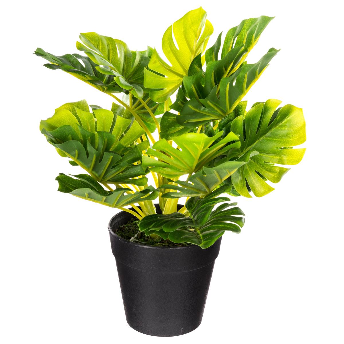 Artificial plant H.30 cm