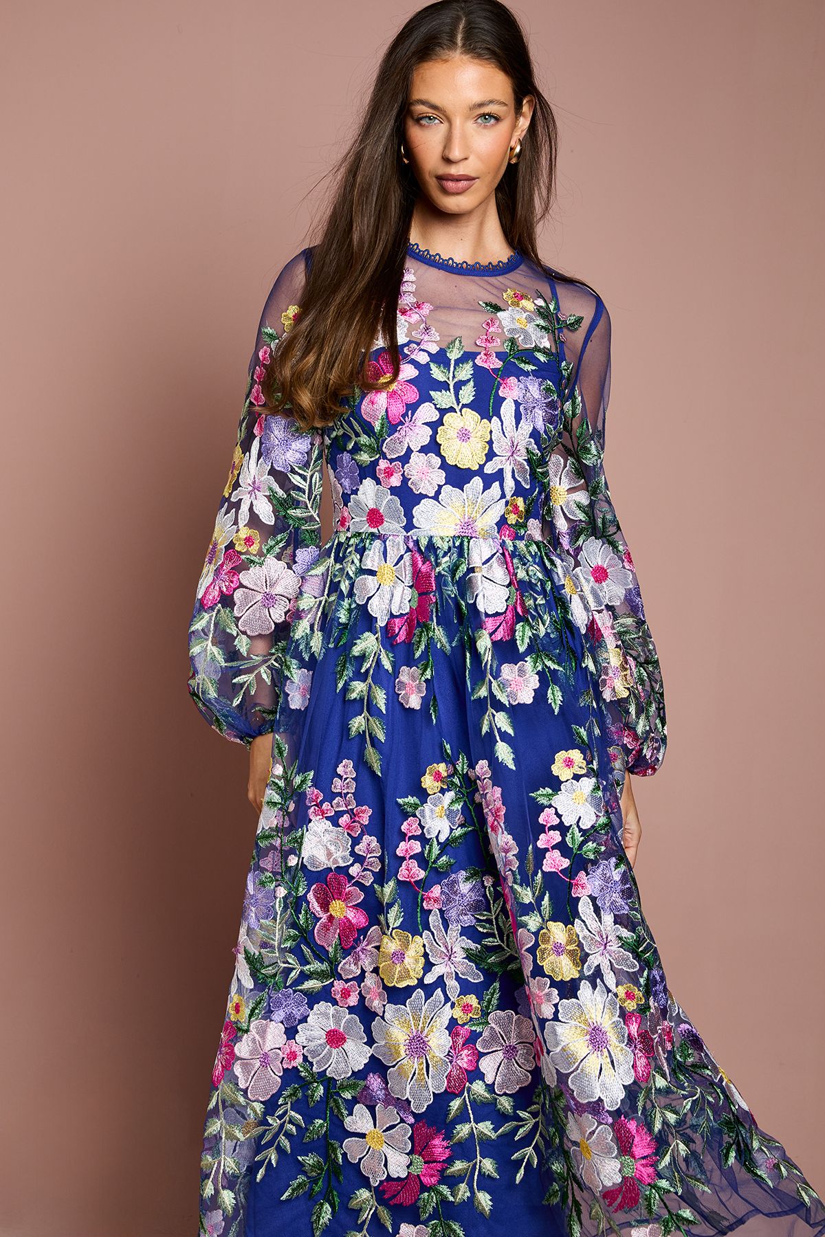 Coast Coast Muse Long Sleeve Embroidered Maxi Dress