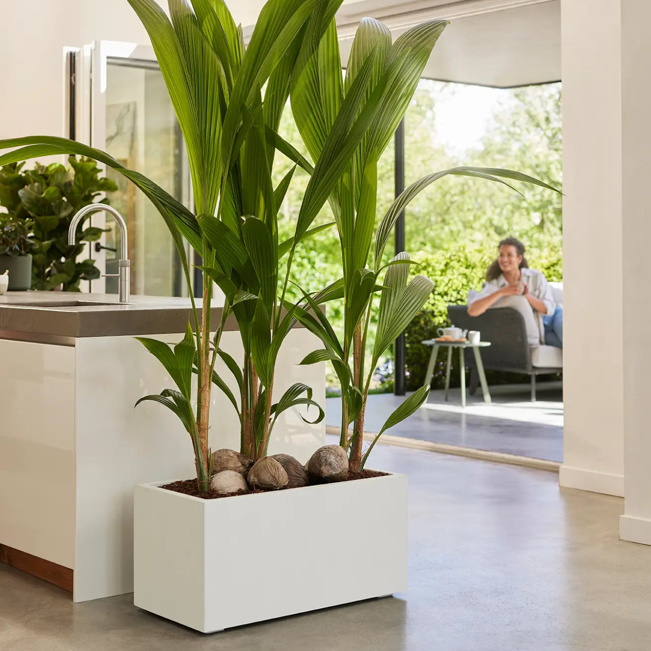 elho Vivo Next Plantenbak B 60 cm - Wit