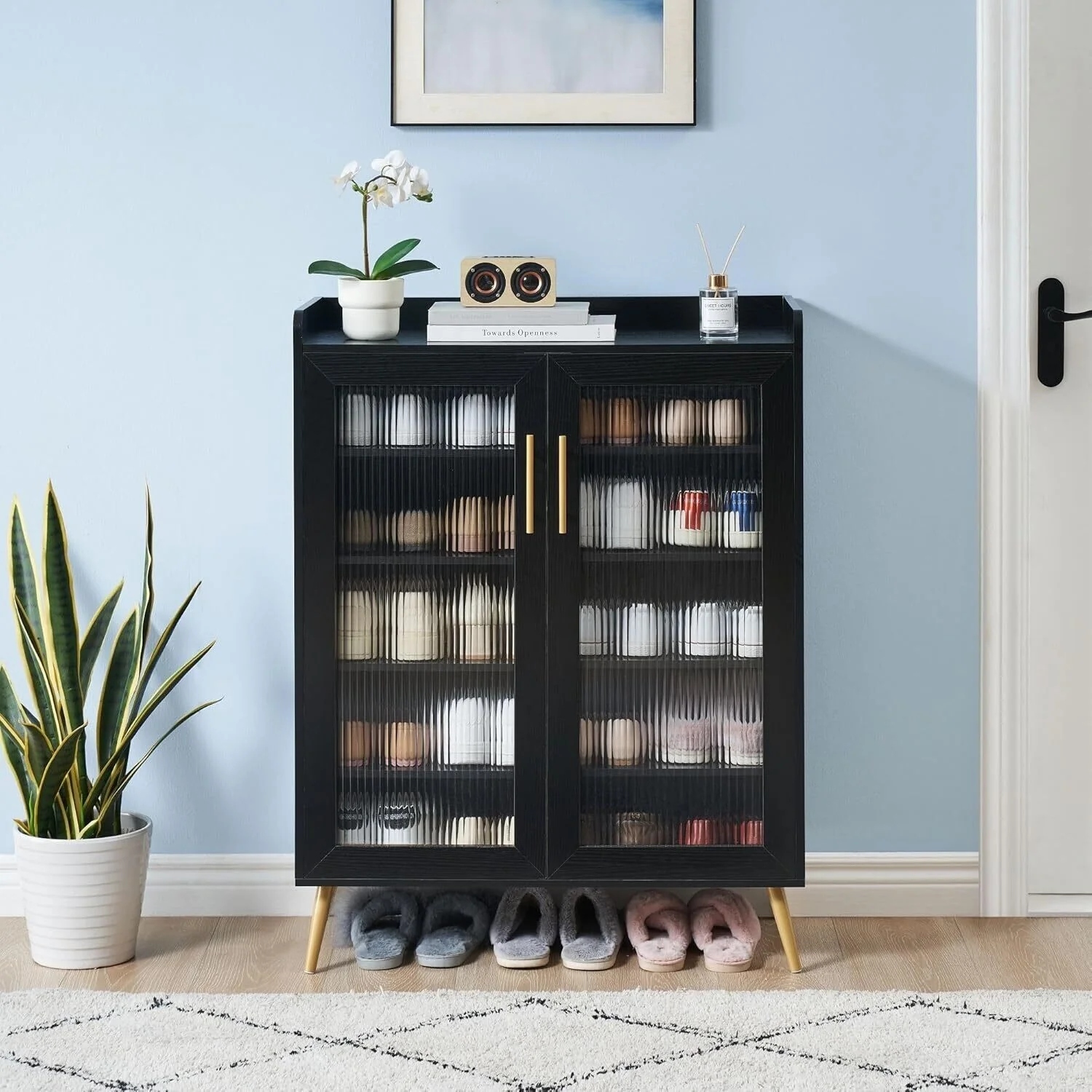 5-Tier Shoe Cabinet with Glass Doors