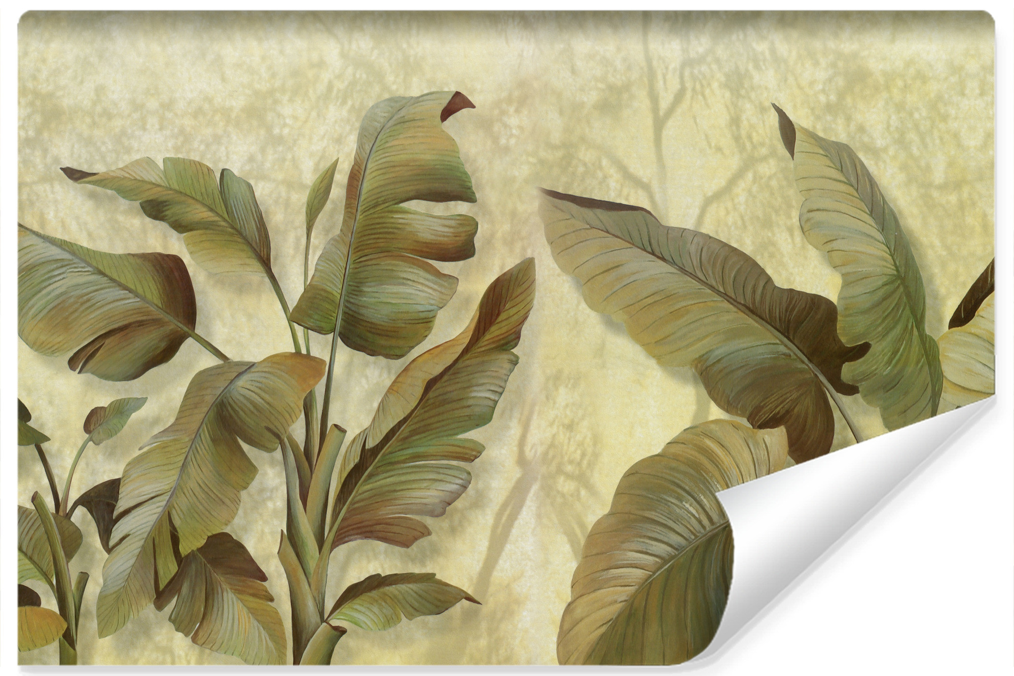 Fototapeta Abstrakcyjne Liście Bananowe 90x60cm