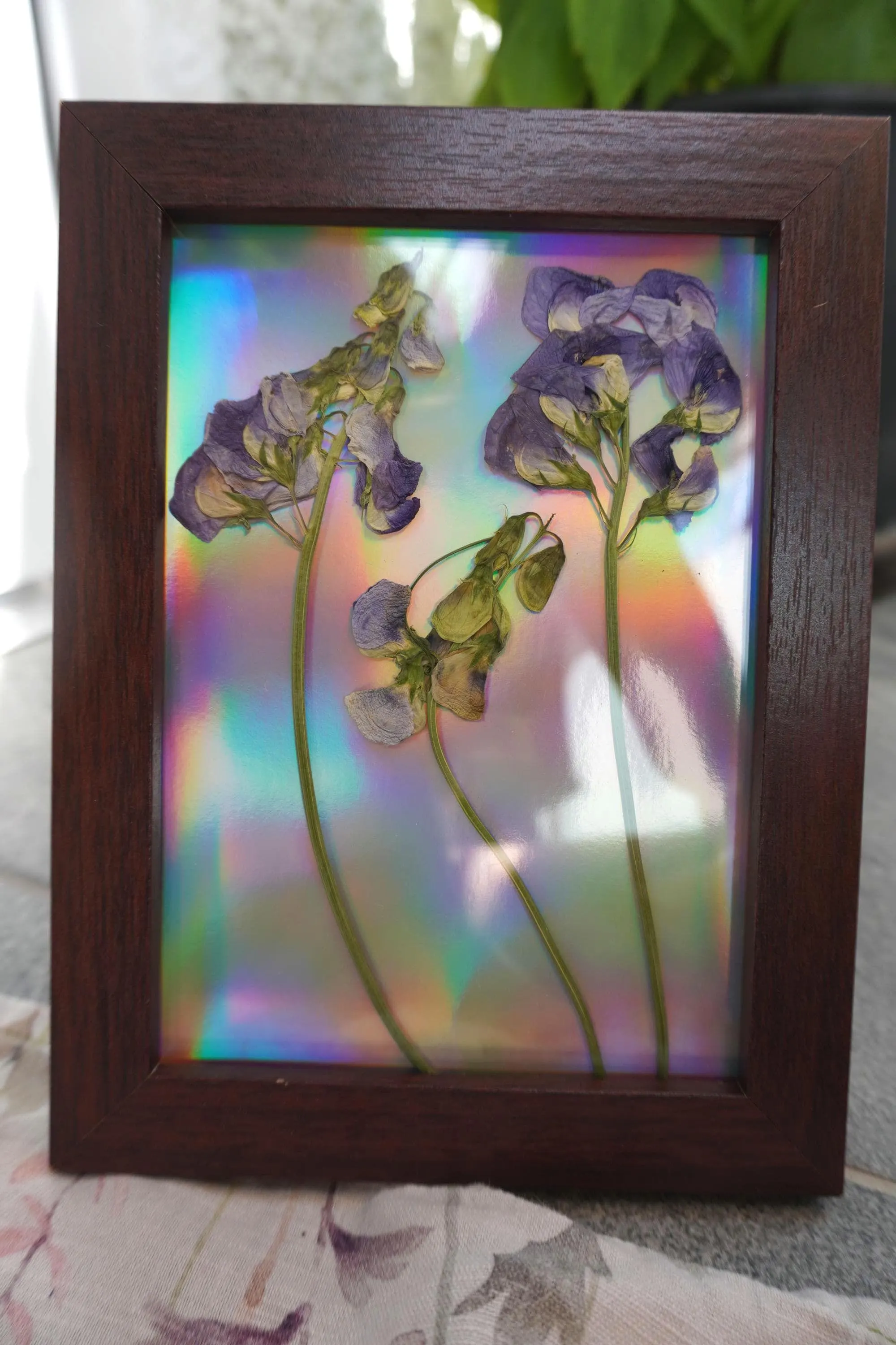 Pressed wildflower set in a true vintage wooden picture frame | Upcycled | Sustainable with holographic effect | Christmas gift, boho style