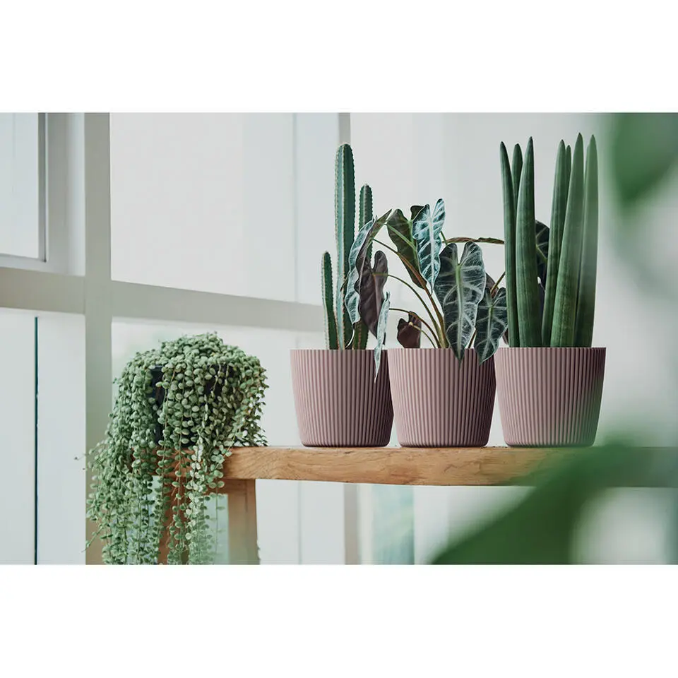 Prosperplast Plantenpot Buckingham - ivoor wit - D19 cm