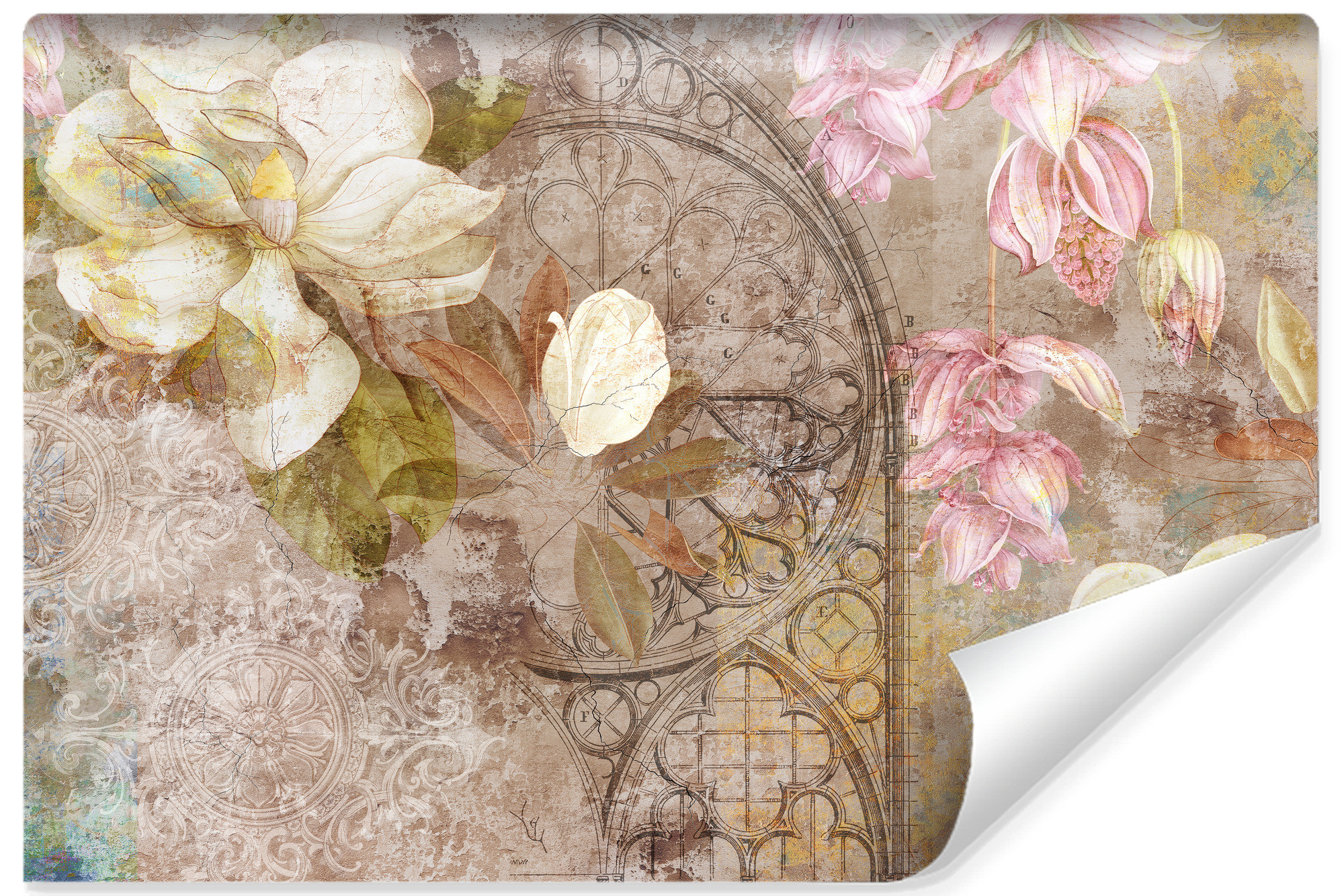 Fototapeta Abstrakcyjne Kwiaty Magnolii Mural 90x60cm