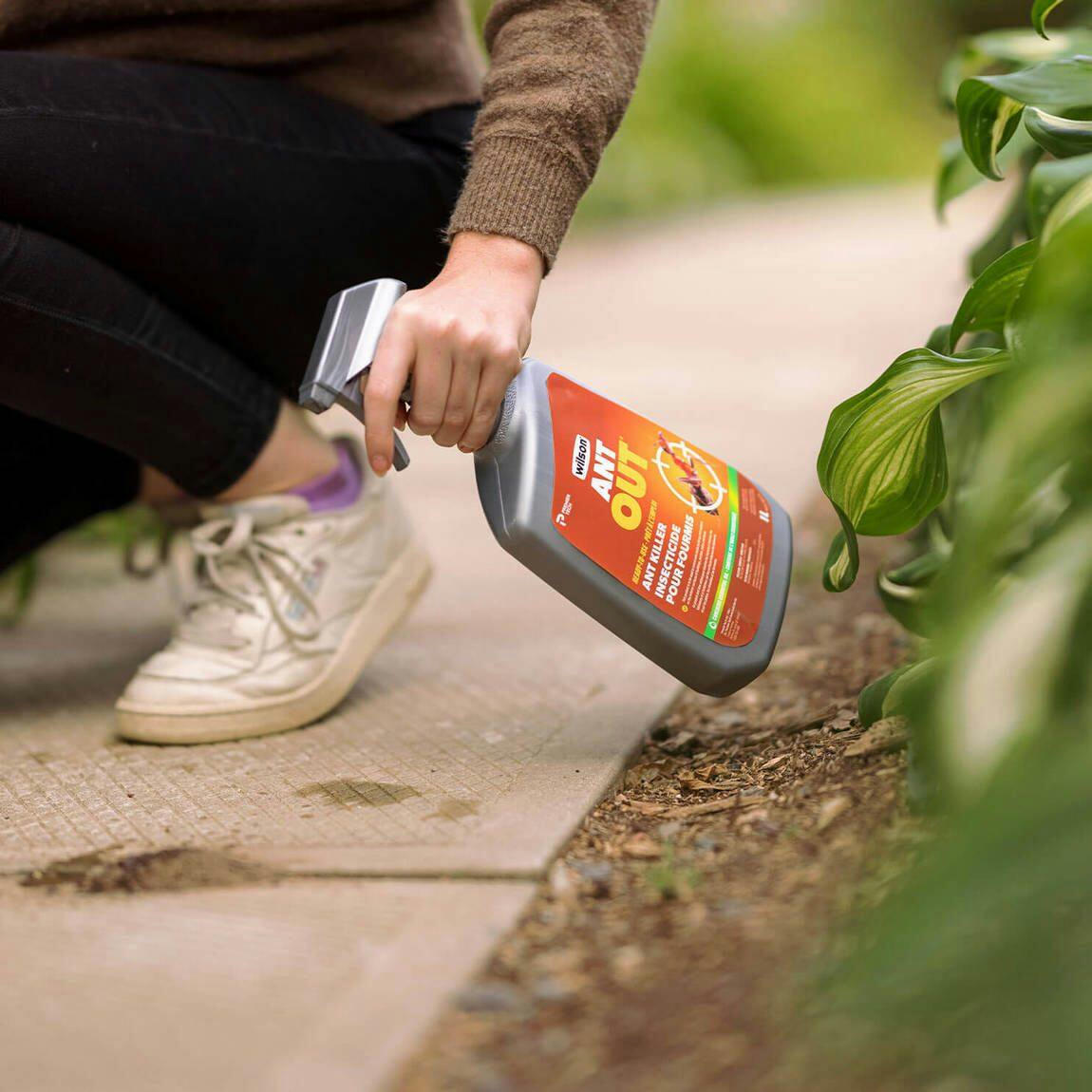 Wilson AntOut Indoor/Outdoor Ready-to-Use Ant Killer, Insecticide Spray, 1-L