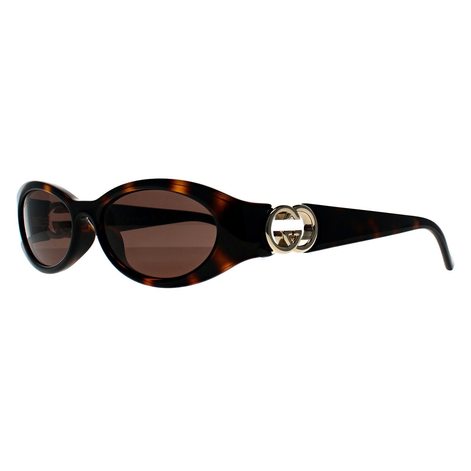 Gucci Oval Shiny Dark Havana Dark Brown GG1660S