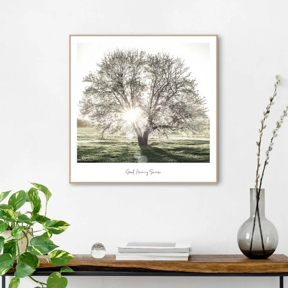 Schilderij Ochtendzon - 50 x 50 - Groen