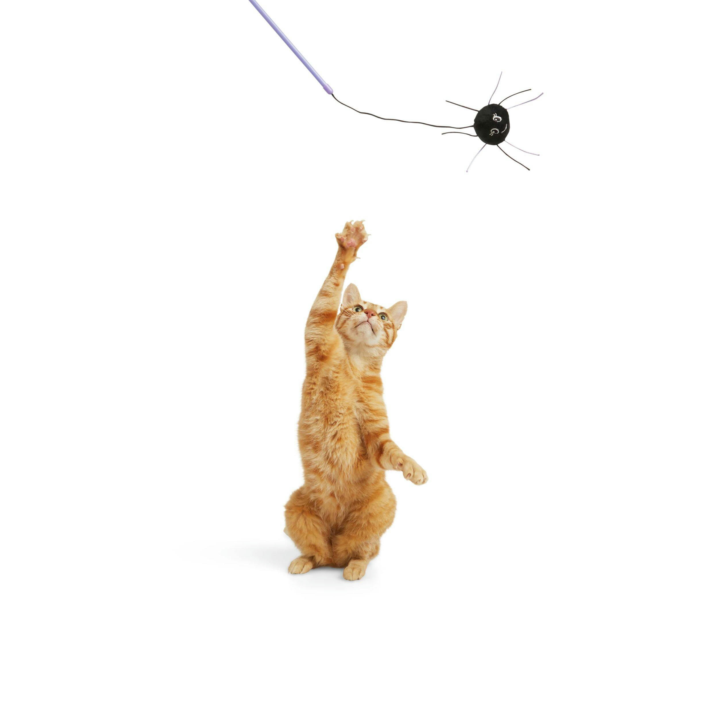 Bootique Cat Spider Teaser Toy