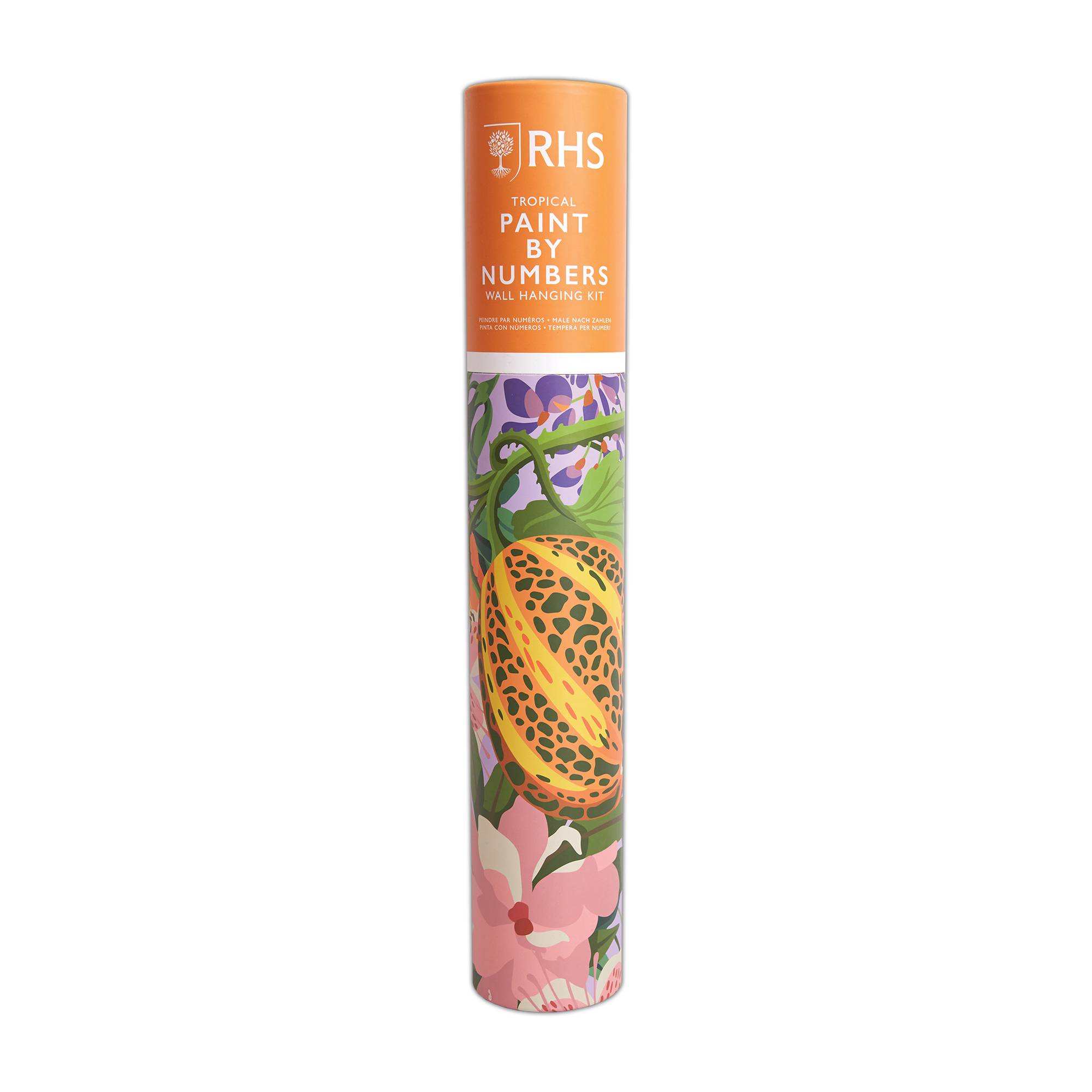 RHS Tropical Paint by Numbers Wall Hanging Kit