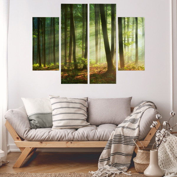Obraz Tetraptyk Promienie słońca w lesie 80x60cm