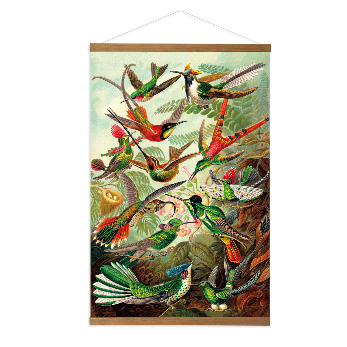 Art for the Home Hangende Poster Linnen - Hummingbirds - 80x60cm