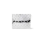 Louis Vuitton Toilet Pouch  (10A Mirror Version)