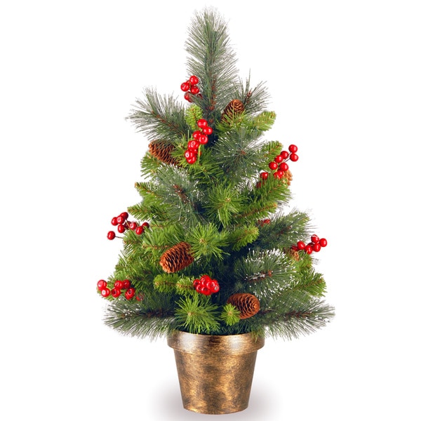 2-foot Crestwood Spruce Tree