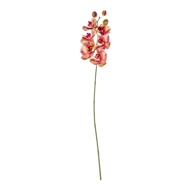 Kunstblume Orchid