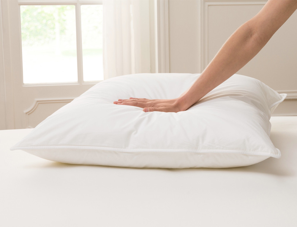 Oreiller mémoire de formeMémo Forme