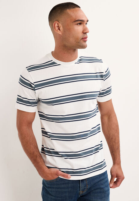 Mens Blue Stripe Cotton T-Shirt