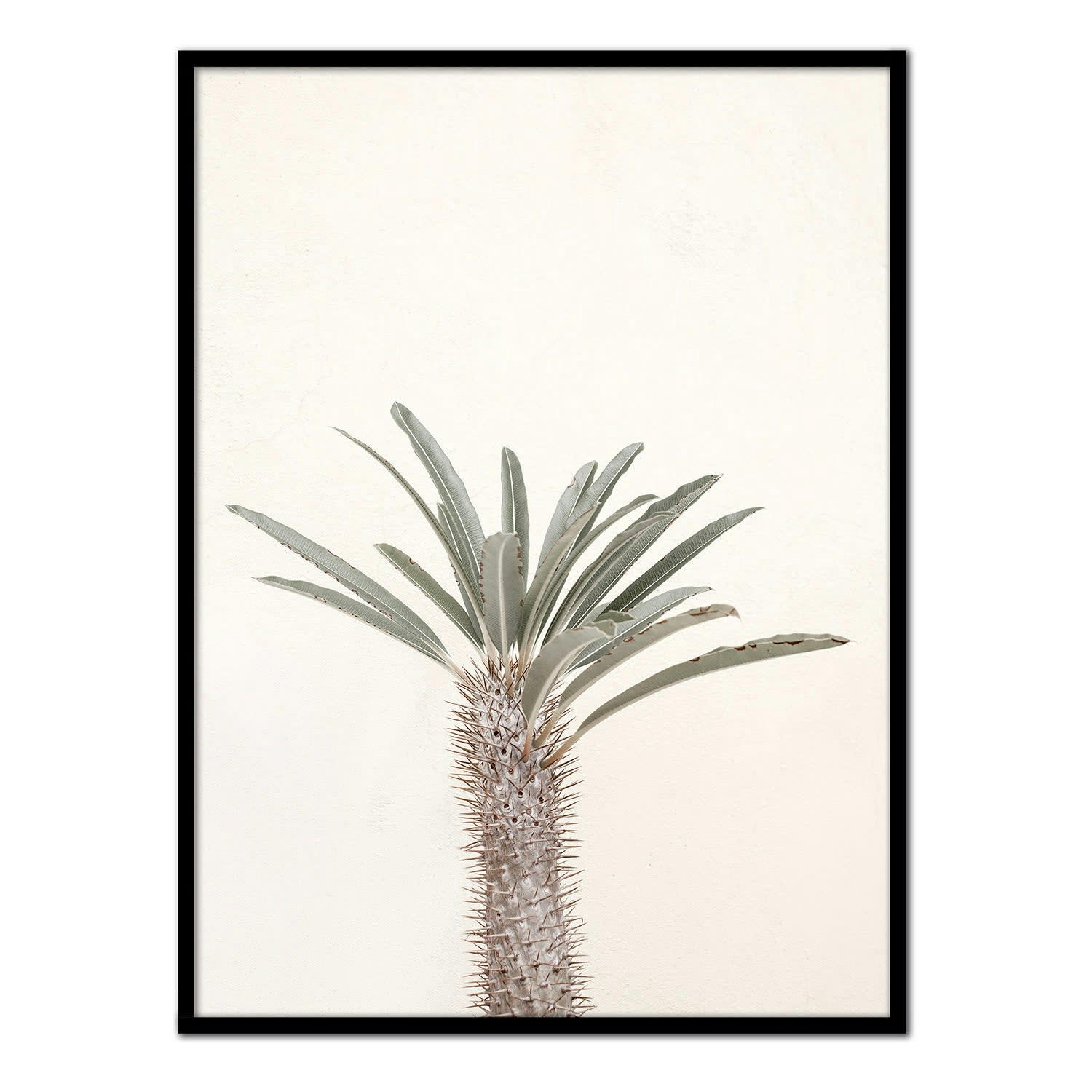DESIERTO - Affiche avec cadre noir - Palmier - 50x70