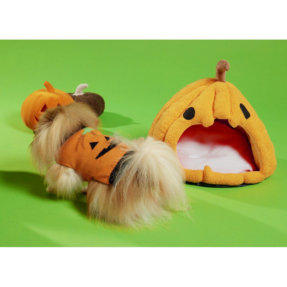 Déguisement Halloween pull motif citrouille pour chien