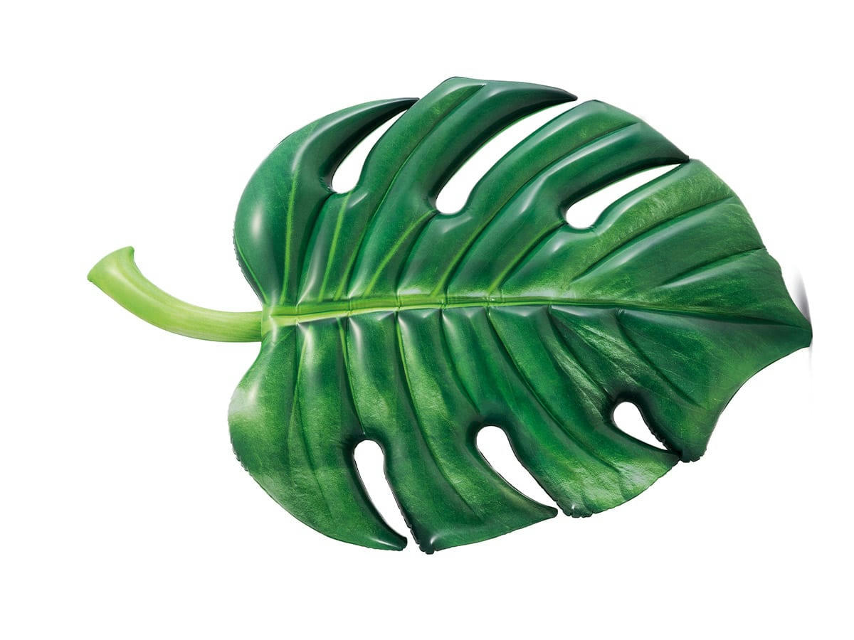 - Matelas de piscine 1 place feuille de palmier en vinyle vert