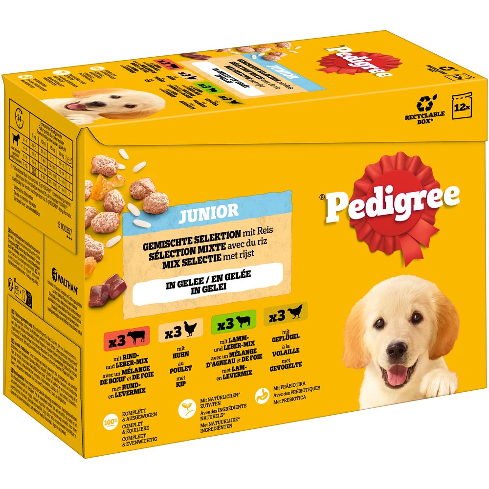 Pedigree Junior Pouch in Jelly