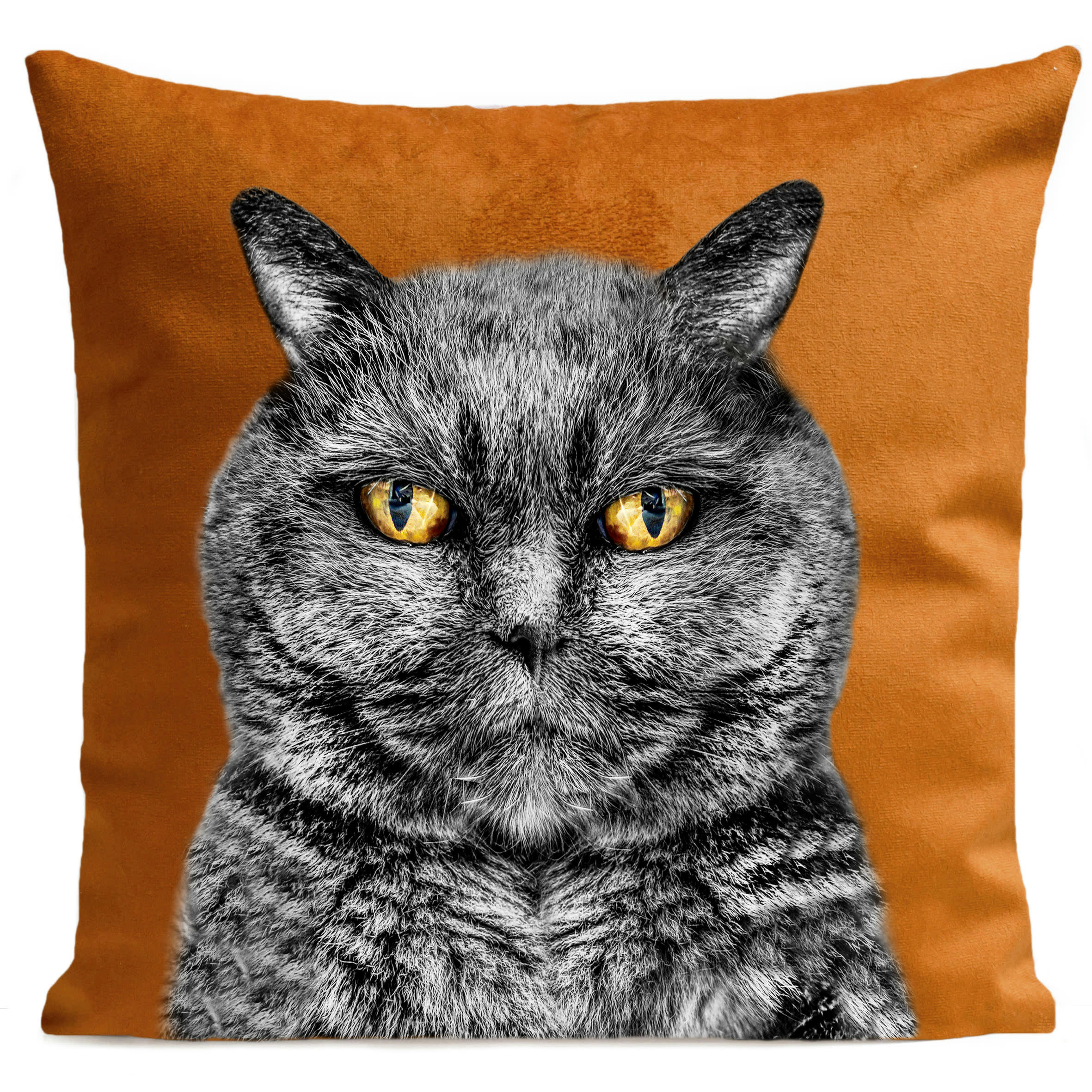 - Coussin chat suédine orange 40x40cm