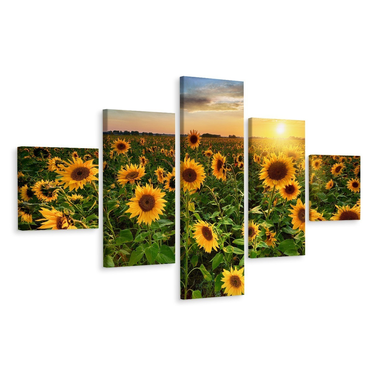 Obraz Wieloczęściowy Pole SŁONECZNIKÓW Pejzaż 3D 150x90cm