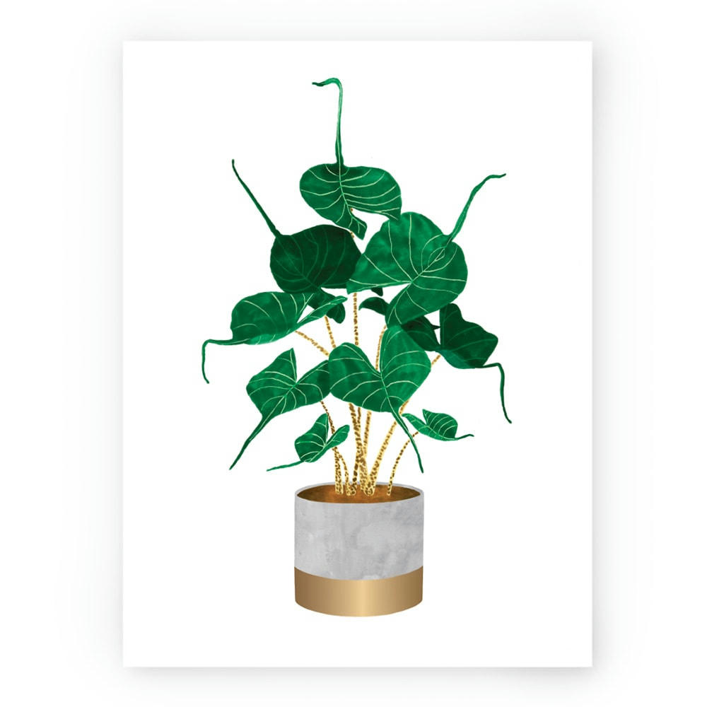 - Affiche illustrée motif Alocasia Stingray 30x40 cm