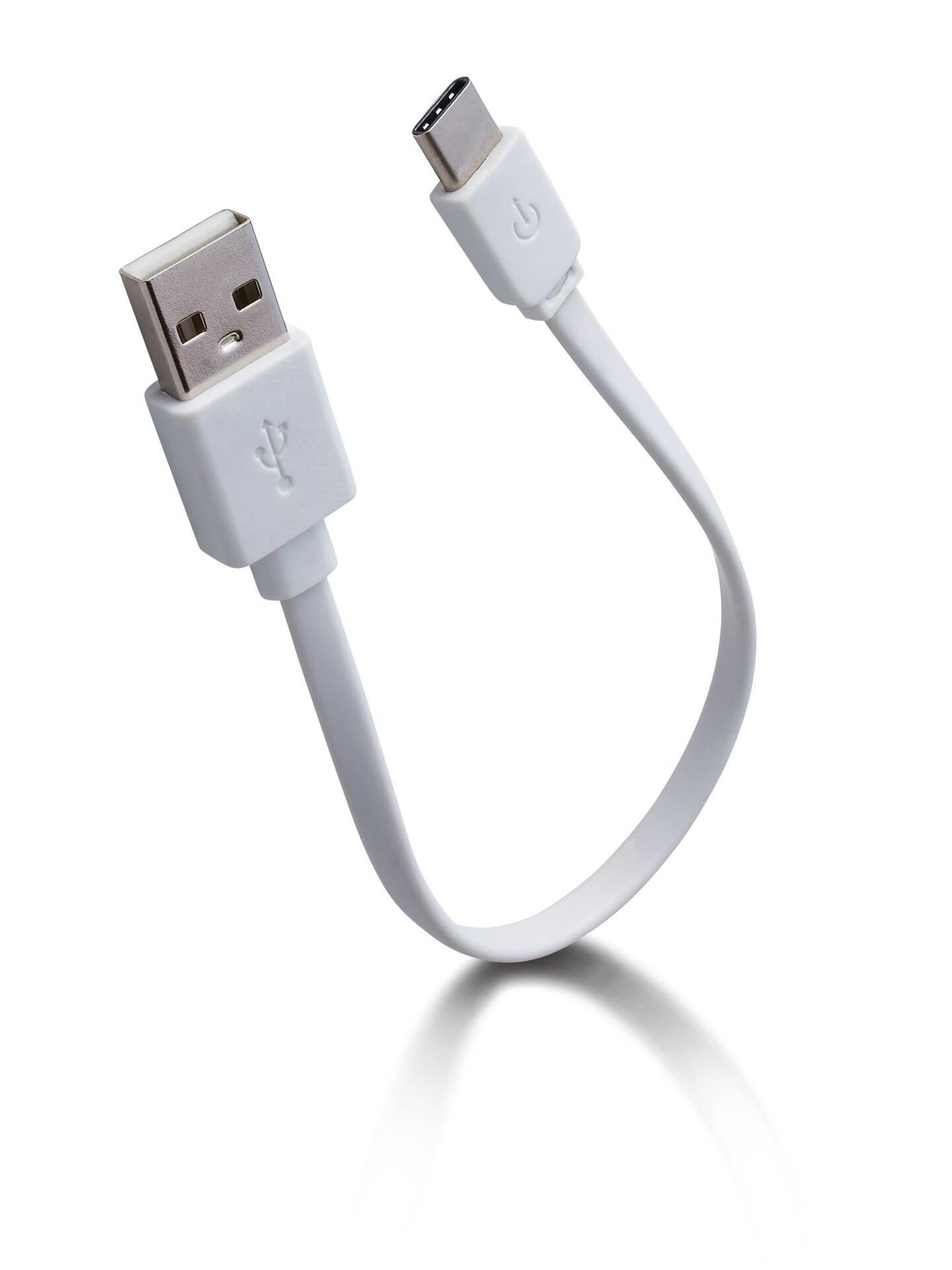 Bluehive Type-C Charger & Sync Cable for Apple & Android Devices, 6-in