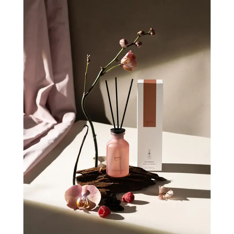 Stick Orchidee