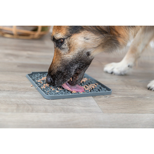 Assiette à lécher Lick'n'Snack 20 par 20 cm gris pour chien