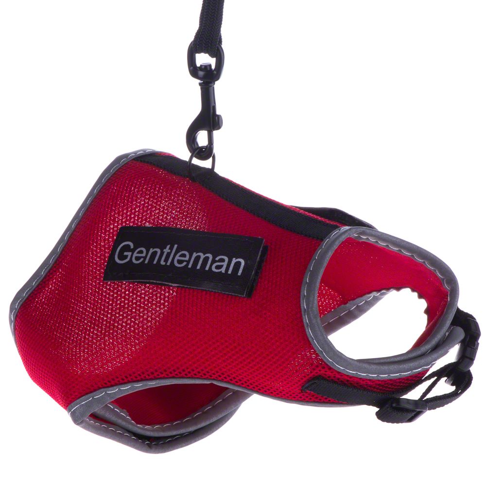 Trixie XCat Harness with Lead and Exclusive Stickers