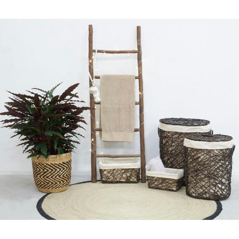 - Échelle en bois rustique