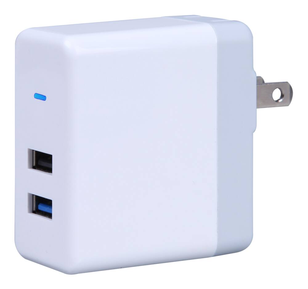 Bluehive 2.4A Dual Wall Charger, with Quick Charge, Compatible with most smartphones