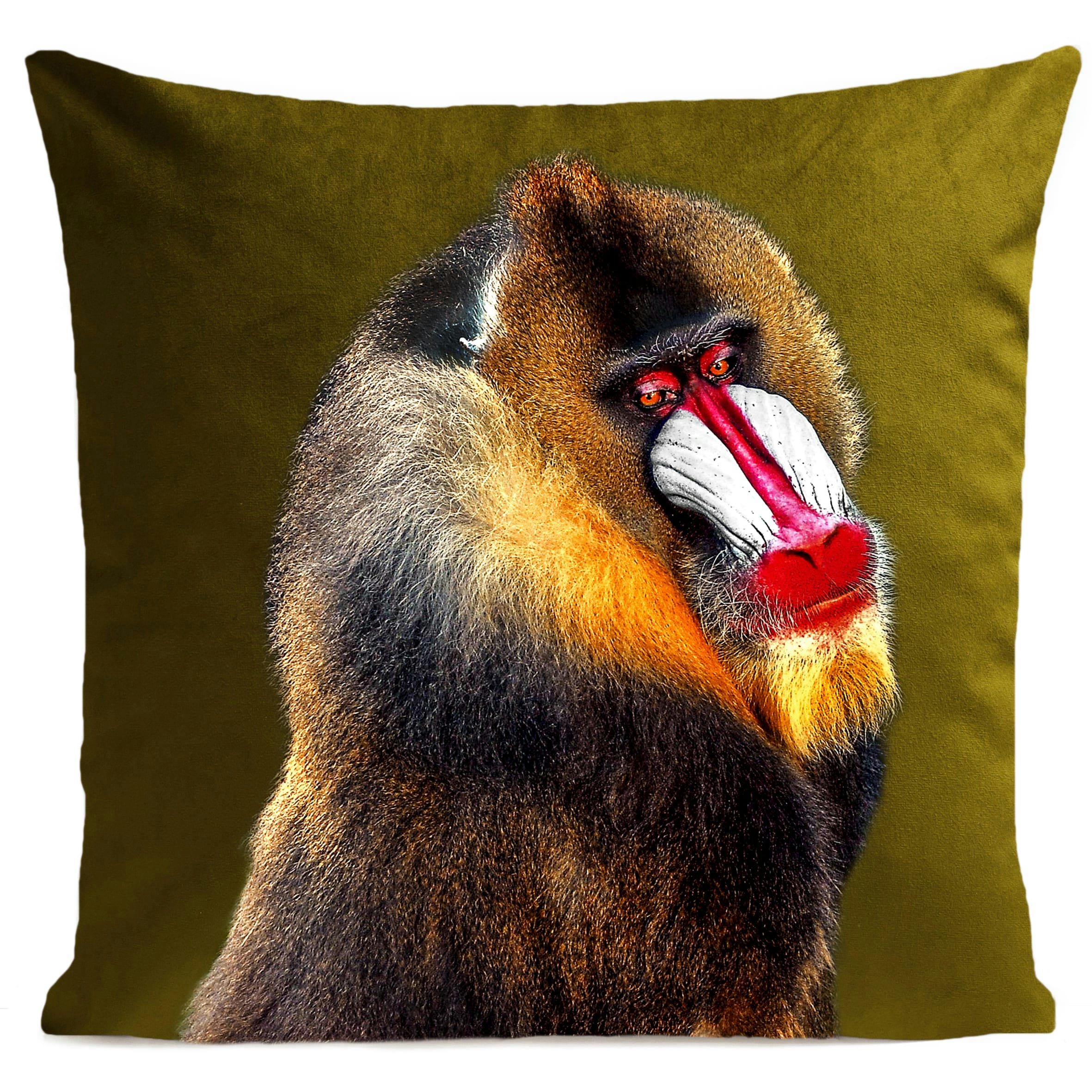 - Coussin tropical singe suédine vert 40x40cm