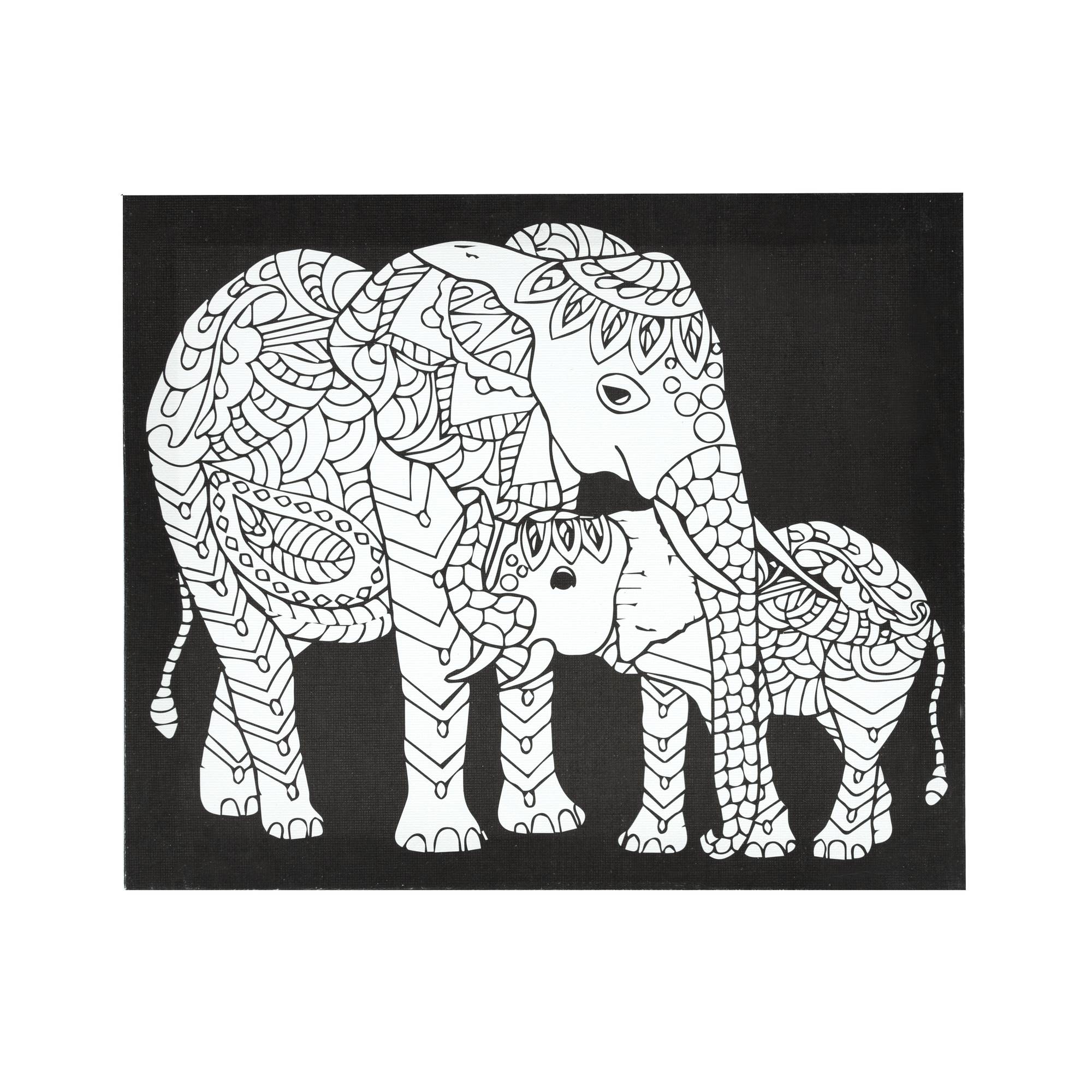 Elephant and Baby Elephant Colour-In Canvas