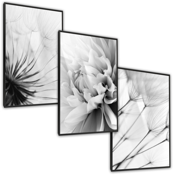 ZESTAW X3 PLAKAT W RAMIE CZARNO-BIAŁE DMUCHAWCE 30x40cm