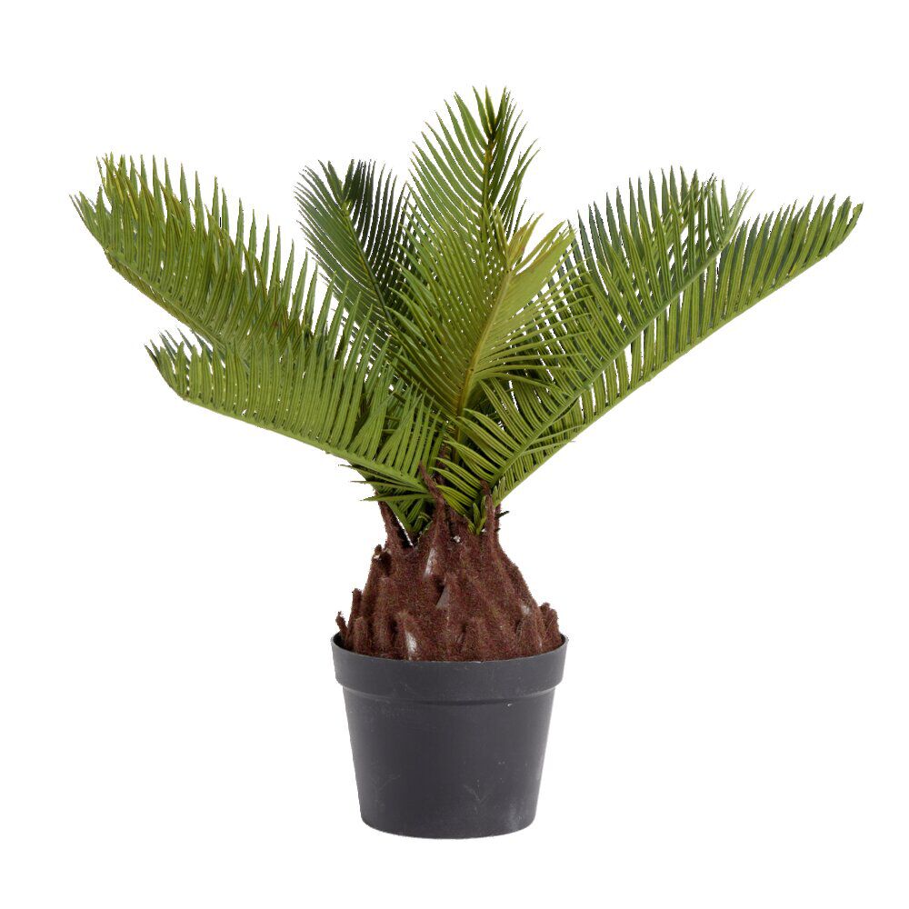 Plante artificielle cycas en pot H38cm
