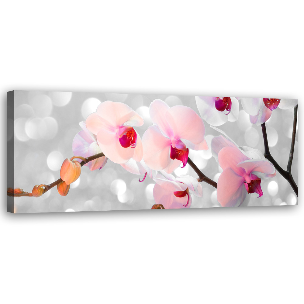 Feeby Obraz na płótnie, Orchidea Kwiaty Natura 90x30