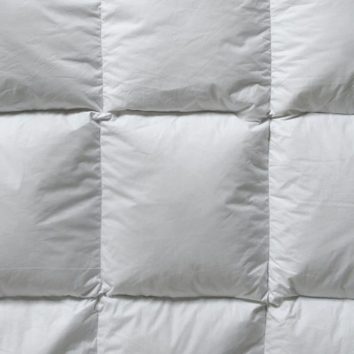 ASPEN - Couette naturelle  tempérée  90% duvet 220gr/  260x240 cm